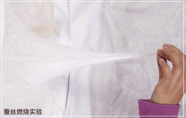 蚕丝的内幕,蚕丝被内幕曝光