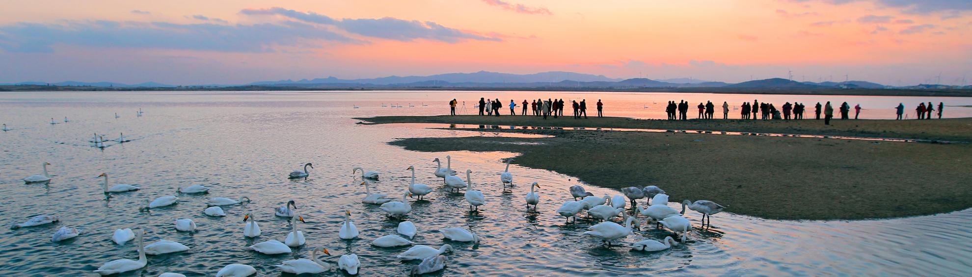 山东各城市口号,山东十六地市宣传语