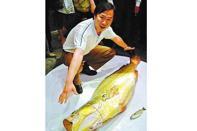 世界上最贵的盒饭神户牛肉,100块和1000块的神户牛肉