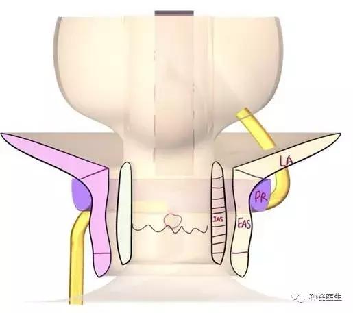 游学旅行新东方,游学打击乐