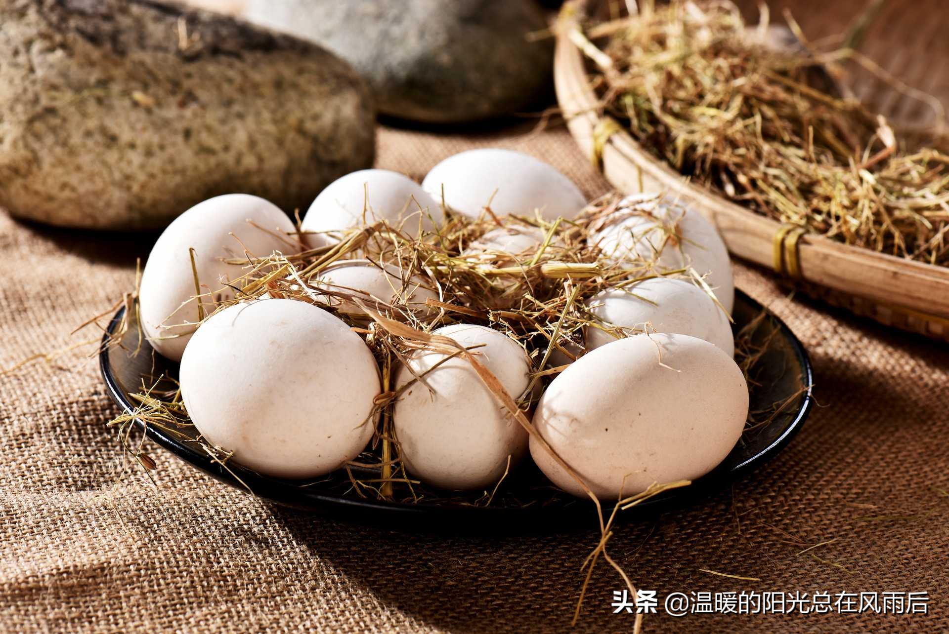 鸡蛋鹅蛋鸭蛋鹌鹑蛋有哪些区别,鹌鹑蛋鸡蛋鸭蛋鹅蛋哪个更有营养