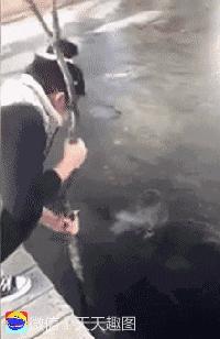 搞笑动图gif女司机,搞笑动图gif图片哪里下载