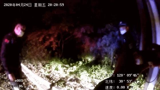 路上遇到小刺球,路遇小刺球怎么处理