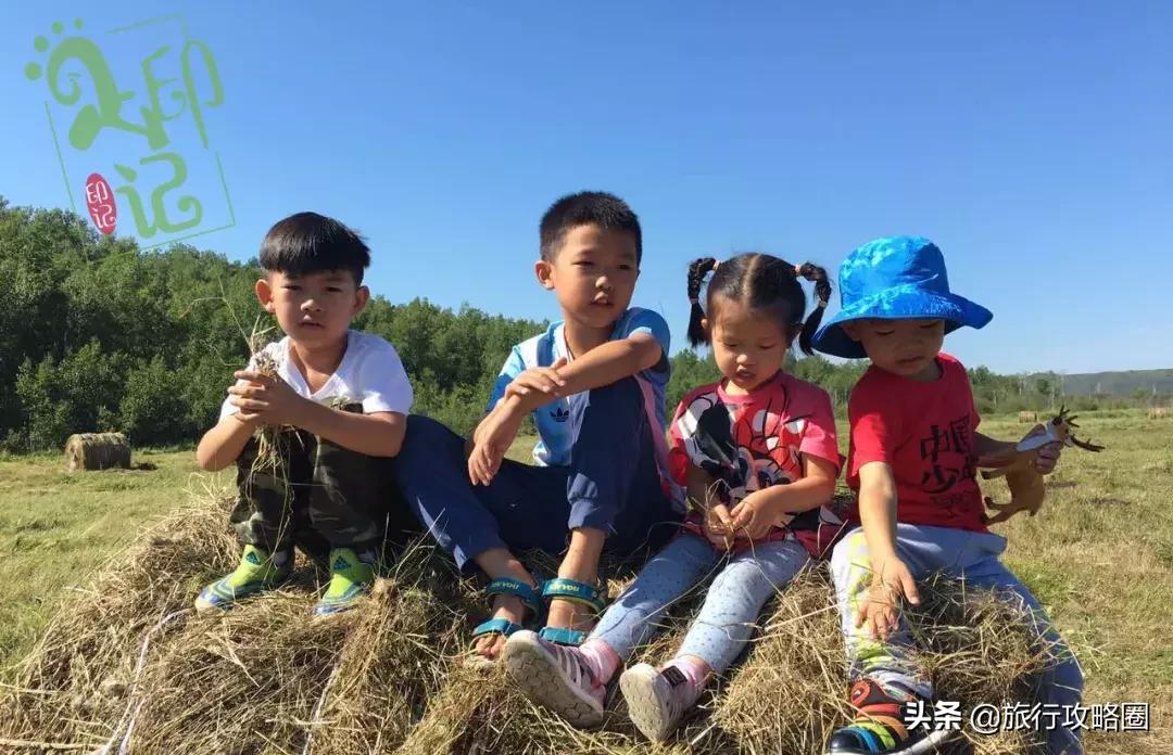 呼伦贝尔亲子游十天怎样玩,呼伦贝尔大草原亲子游