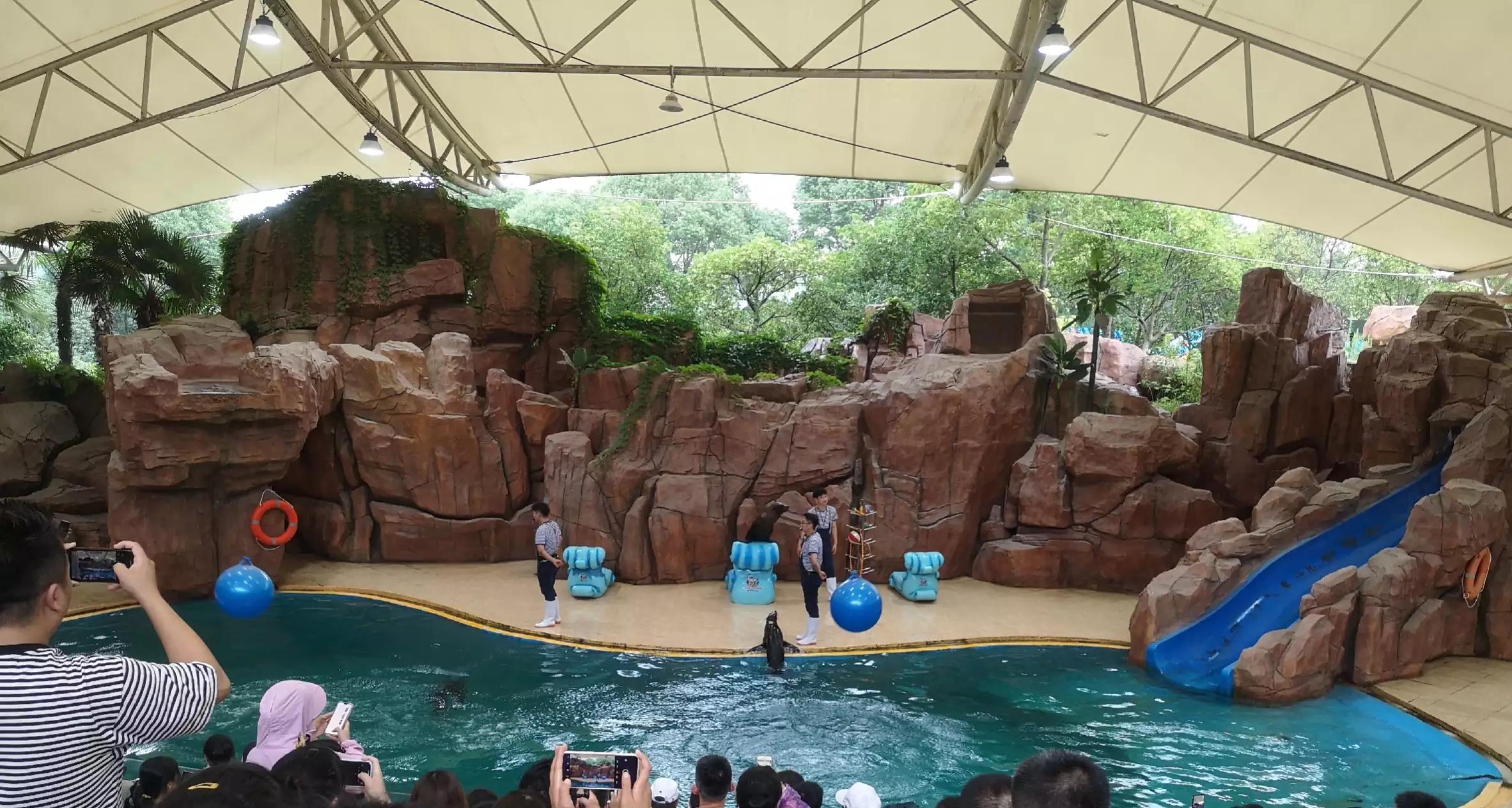 常州恐龙园恐龙穿越侏罗纪,常州恐龙园恐龙游街