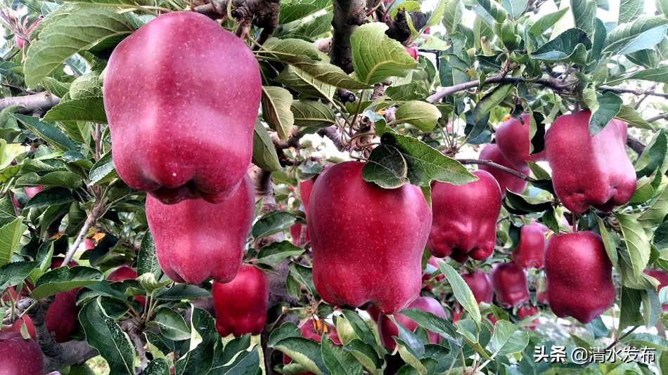 2021贵阳市三大攻坚战,高质量高标准打好攻坚战