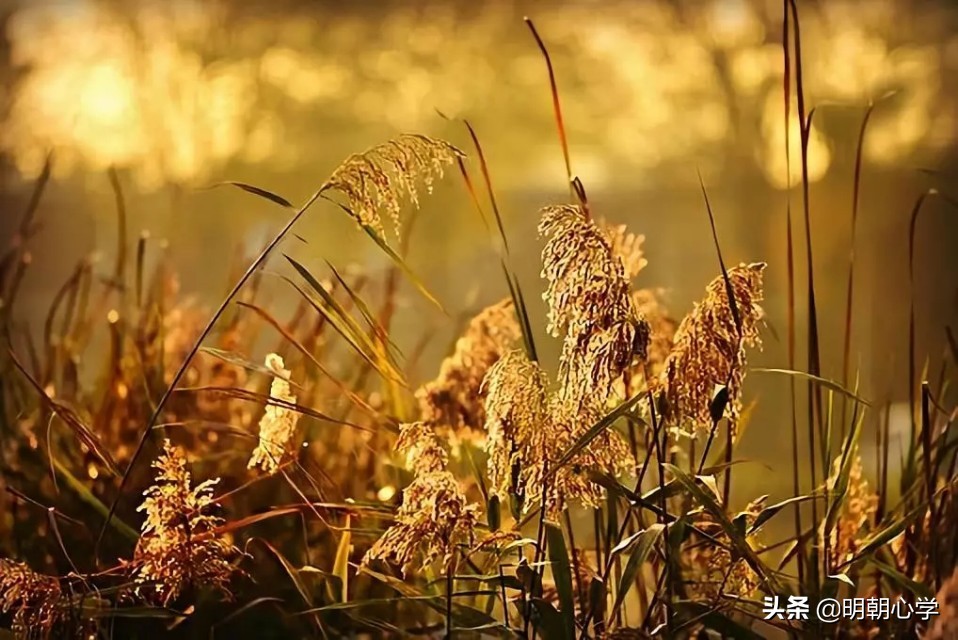 明朝王阳明致良知学说,王阳明良知学说及当代意义
