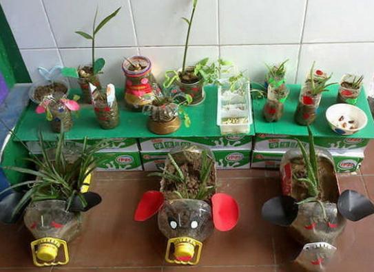 矿泉水瓶养花盆教程图,塑料瓶和花盆可以养花吗