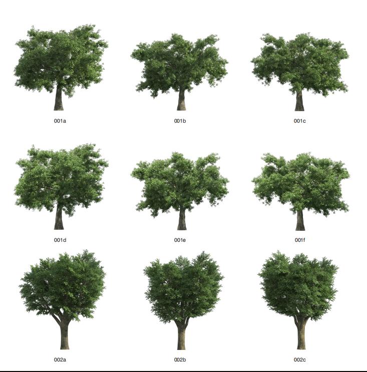 3dvray材质怎么贴图,3d资料供参考