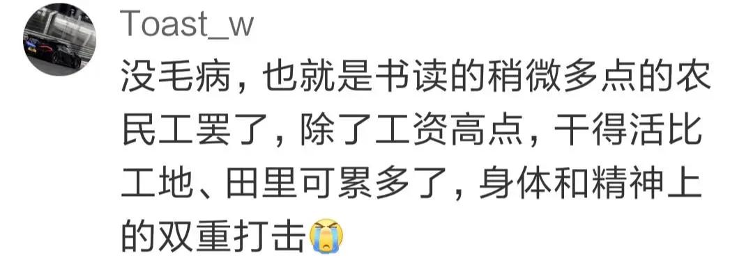 程序员新生代农民工,程序员被定义为新时代的农民工