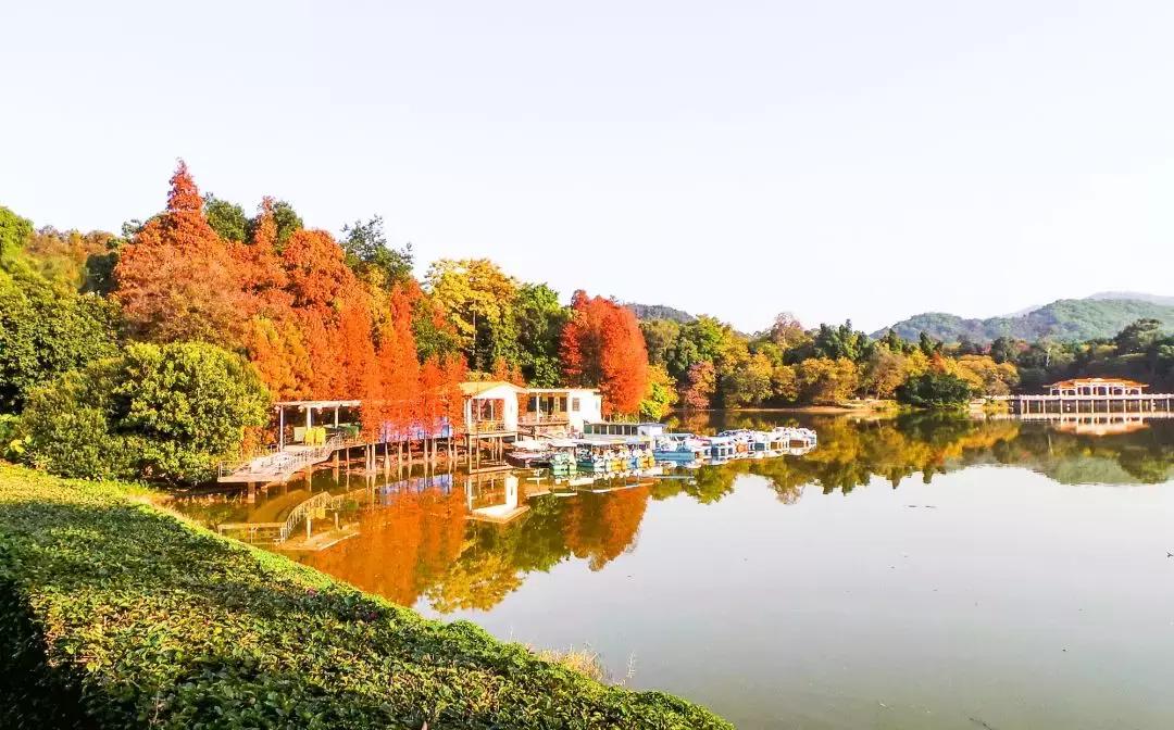 广州白云山风景区最新通知,广州白云山改造规划