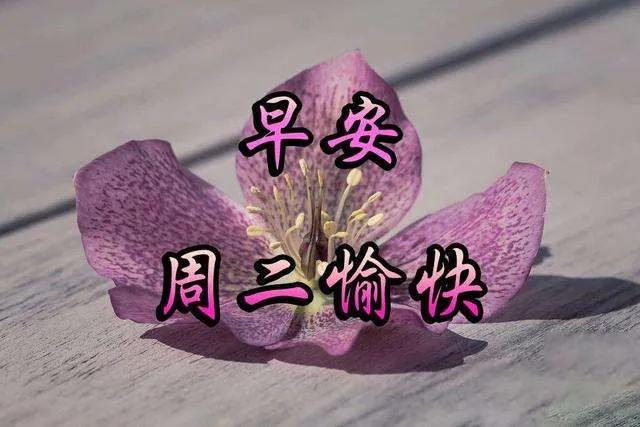 给朋友的早安心语每日一句经典,发给朋友每天正能量的一句话早安