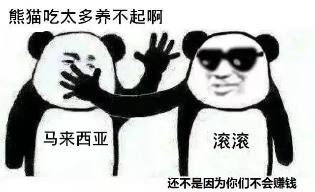 马来西亚为啥退换大熊猫,马来西亚退还中国大熊猫是真的吗