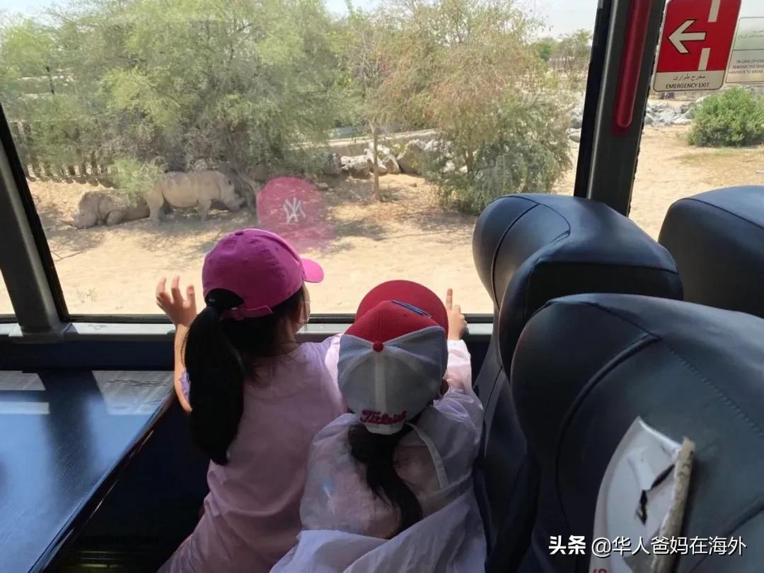 中东前十城市,迪拜旅游城市排名