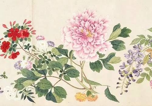 100幅精美写意牡丹画,名家大写意画牡丹作品图片