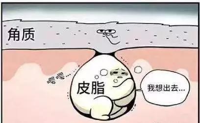 看懂各种痘痘类型和应对方法,一分钟教你分辨痘痘类型