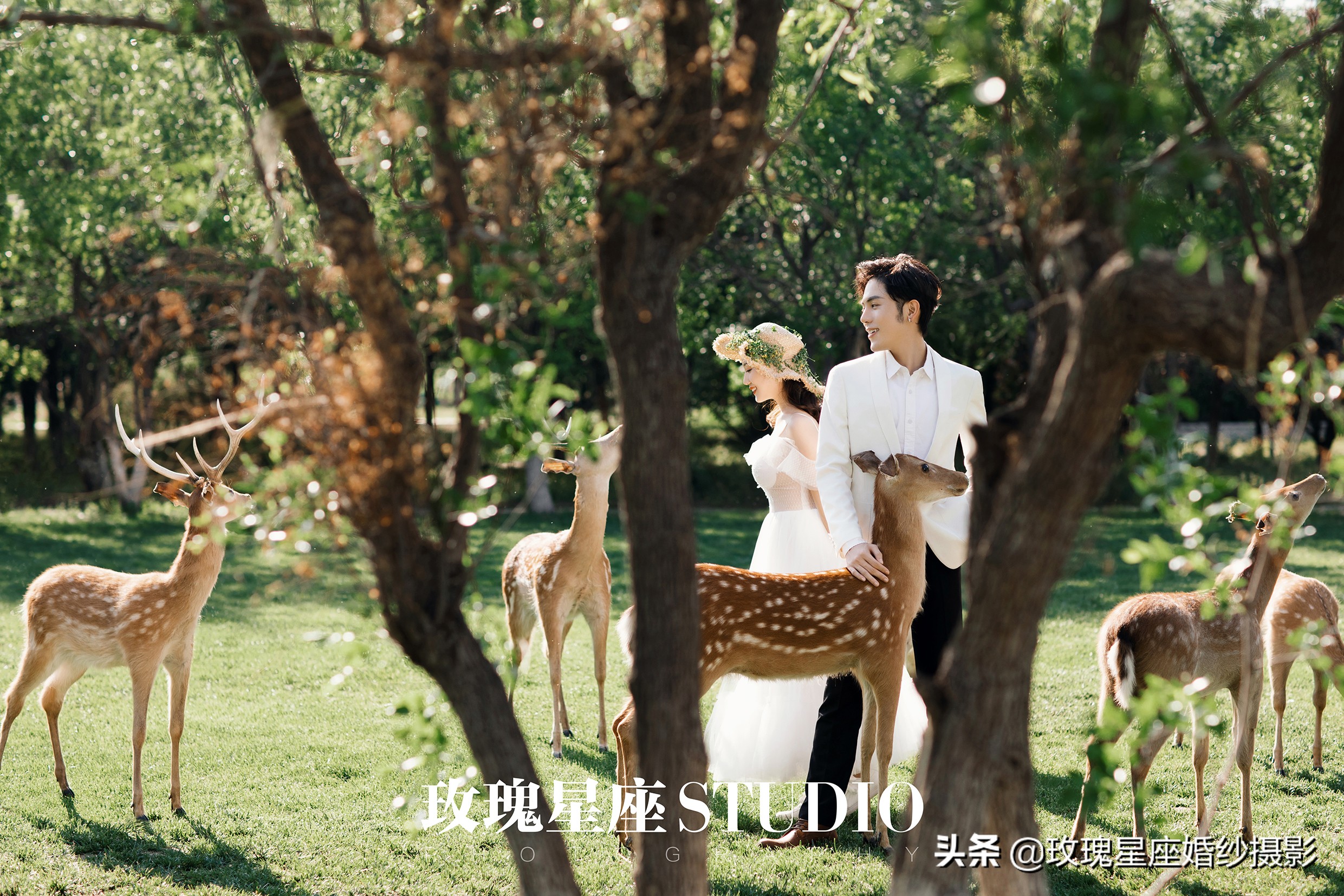 婚纱照必拍的9种风格,韩式小清新可爱俏皮室内婚纱照