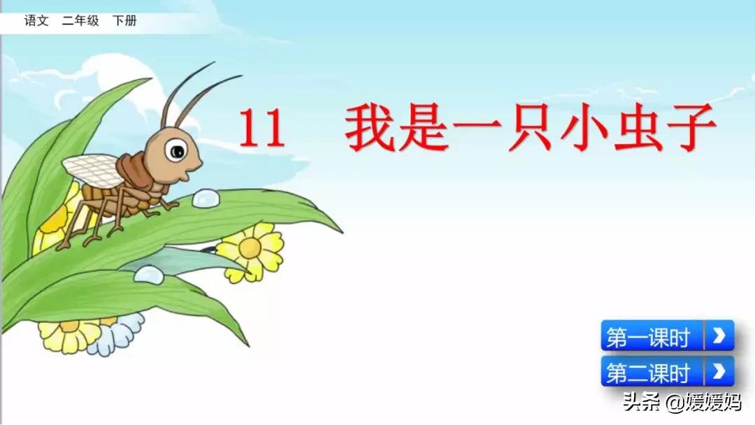 二年级下册我是一只小虫子课后题,二年级下册语文11我是一只小虫子