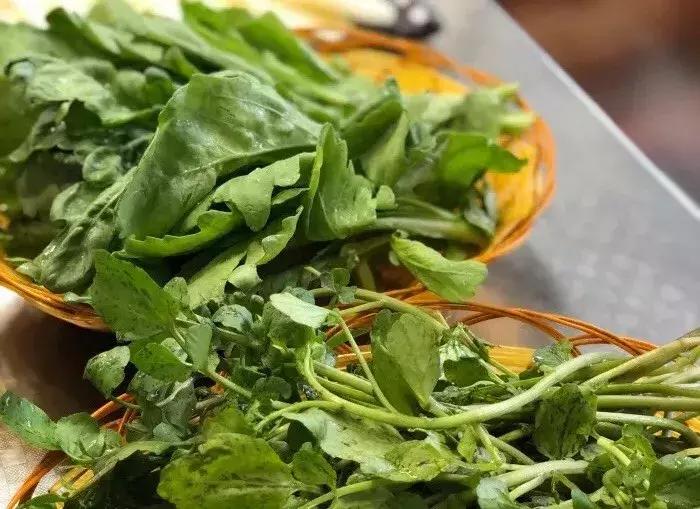 在西安吃火锅这8家店吃到过瘾,西安最好吃的十大火锅