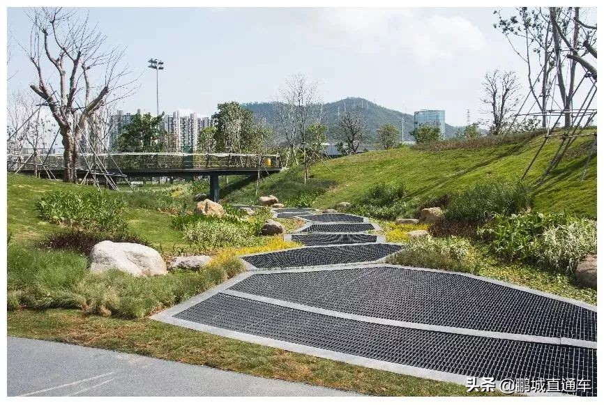 深圳八大主题公园免费开放,深圳遛娃50个必去的主题公园