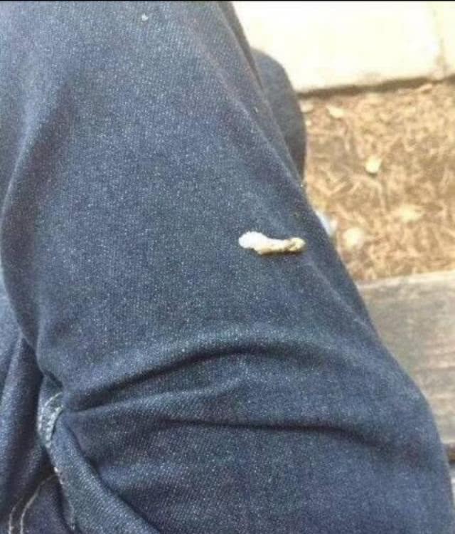 最奇葩的梦话是什么,你听说的最搞笑的梦话