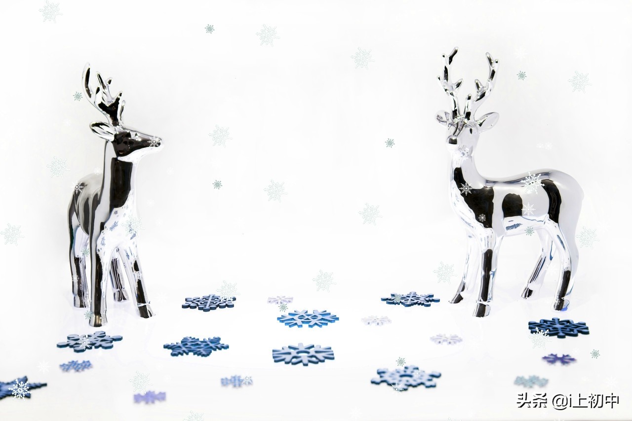 什么令我感动中考满分作文范文,感动中考满分作文加赏析