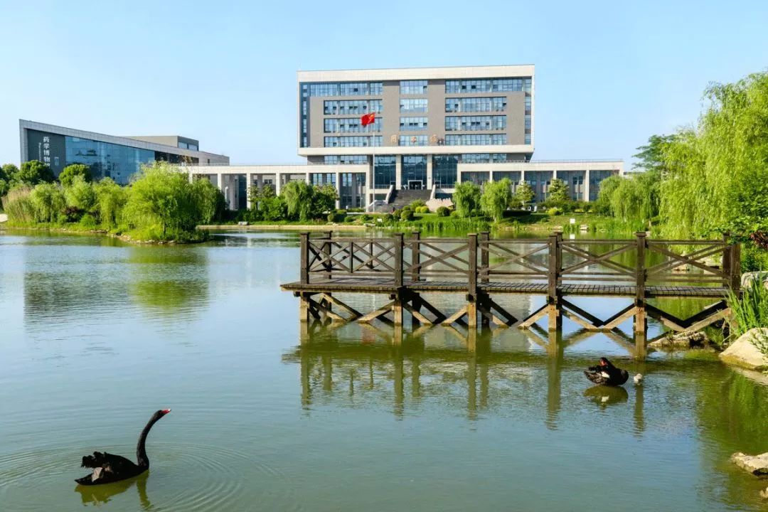 中国医科大学药学院全国排名,哪所高校的医药学教育水平高