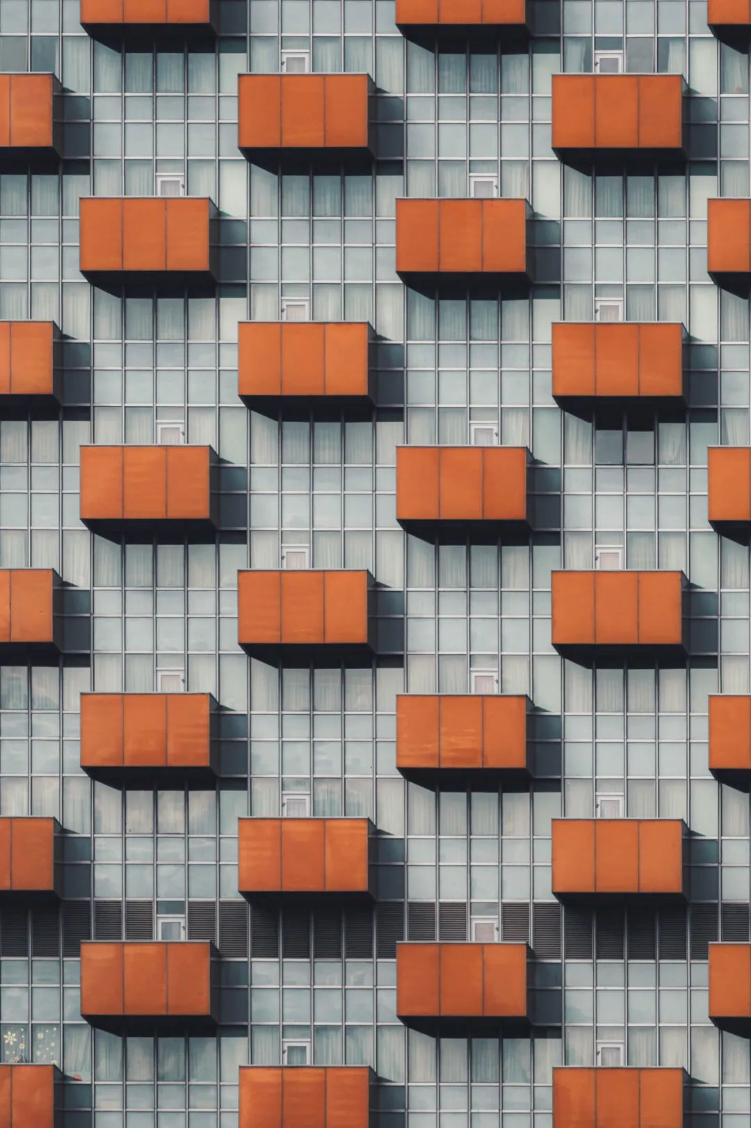 大片来袭震撼人心,成渝双城记全景图