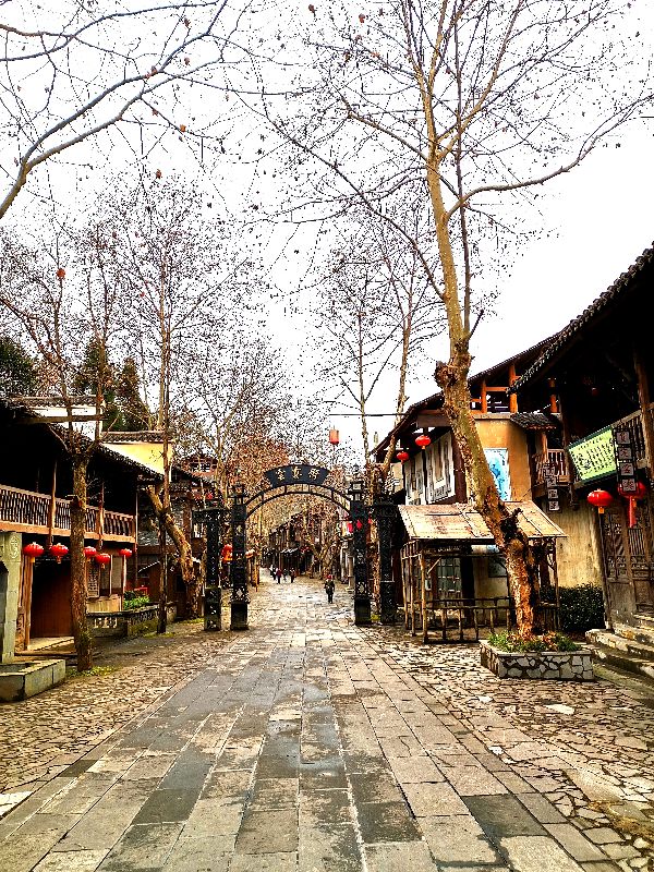 都匀茶旅小镇,都匀毛尖茶园基地游玩