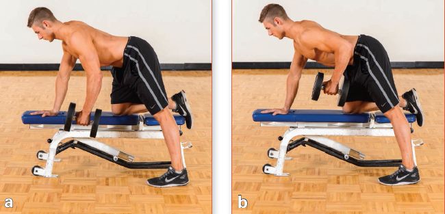 增肌一周各部位训练计划表,增肌训练计划每天练习不同部位