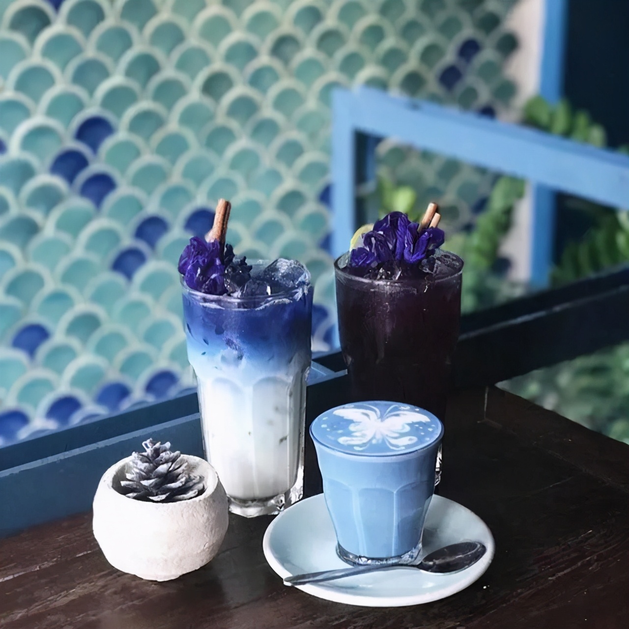 阳春三月·食花记