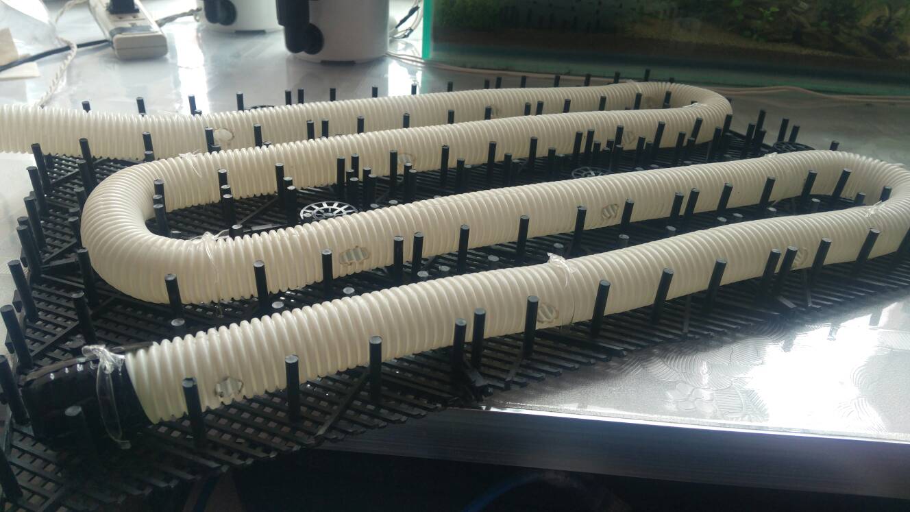 沼泽过滤鱼缸怎么开缸,沼泽缸开缸教程