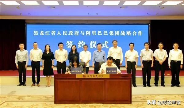 长春高新集团,长春高新企业简介