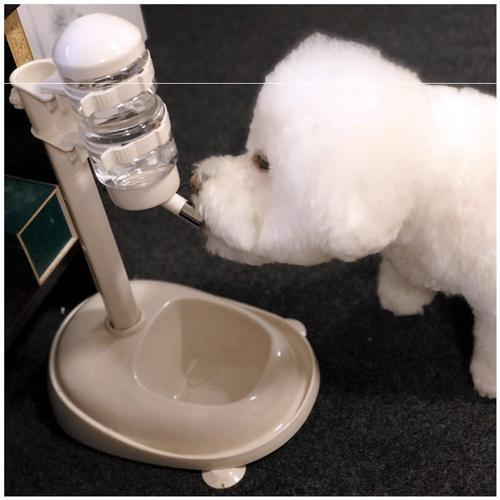 比熊犬泪痕怎么处理,比熊犬泪痕用什么擦