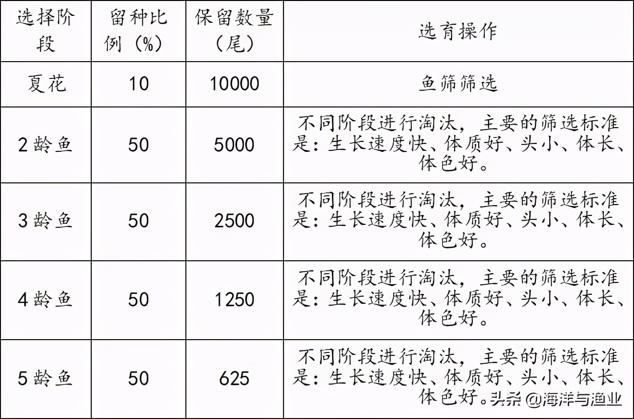广东淡水白鲳鱼苗养殖,广州淡水鲳鱼苗养殖基地