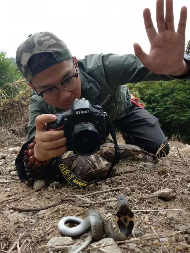 娆ч箯娣卞湷,娆ч箯鍔ㄧ墿涓栫晫