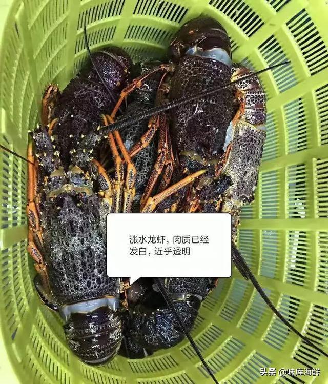海鲜市场里你不知道的猫腻,三亚海鲜市场加工有猫腻吗