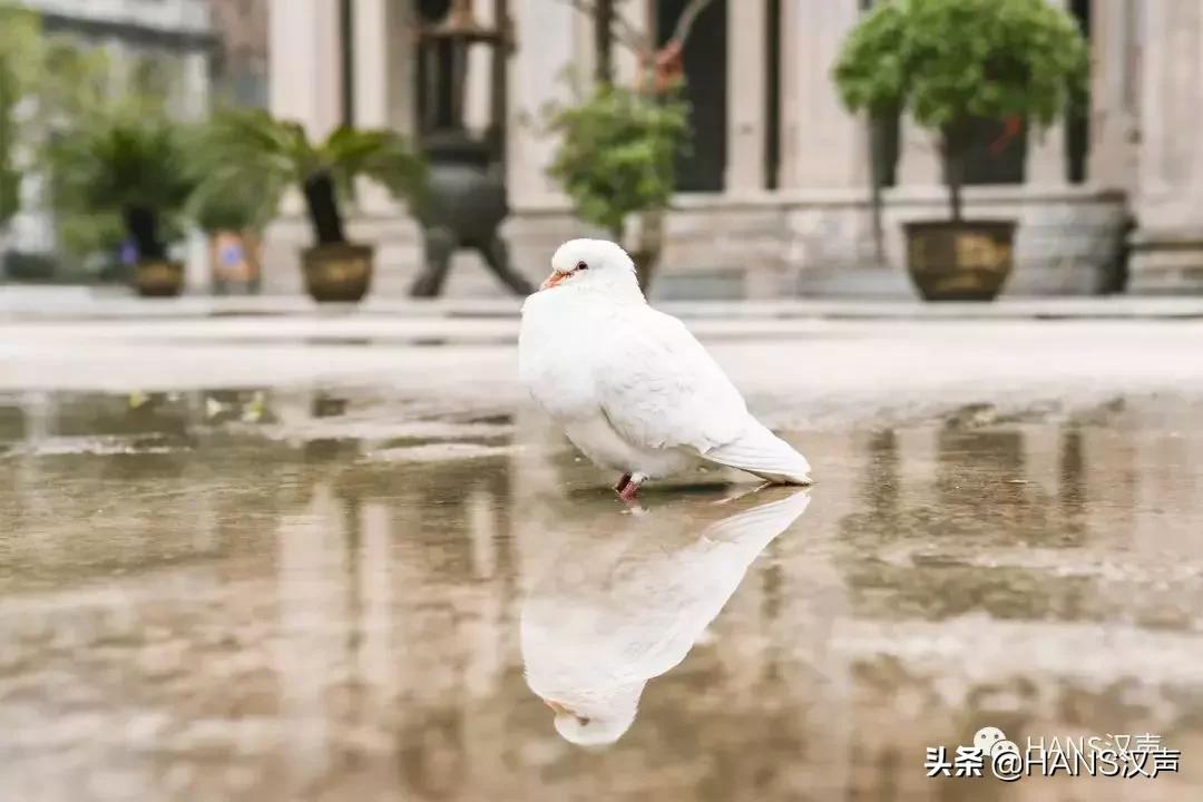 去古德寺修行,古德寺修行