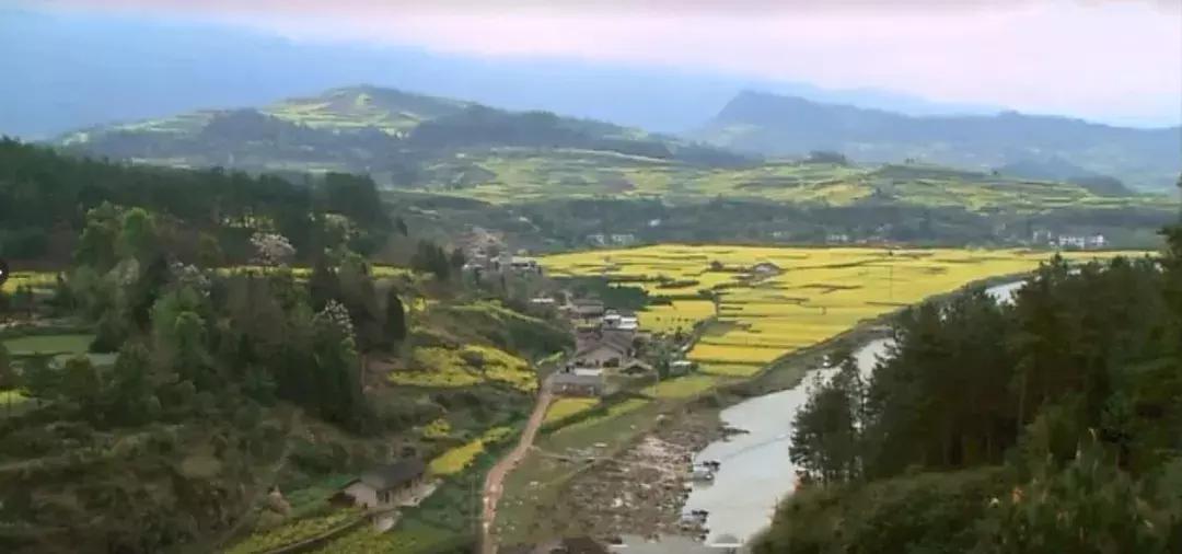 非物质文化遗产南庙武术,中国武术之乡十大排名