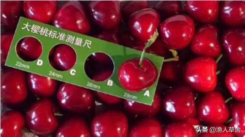 辽宁省大连知名农产品,辽宁省农产品地理标志产品都有啥