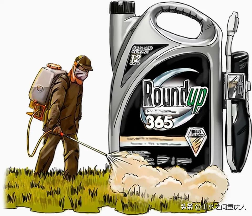 DDT、橙剂、转基因：生态环境摧毁者—孟山都