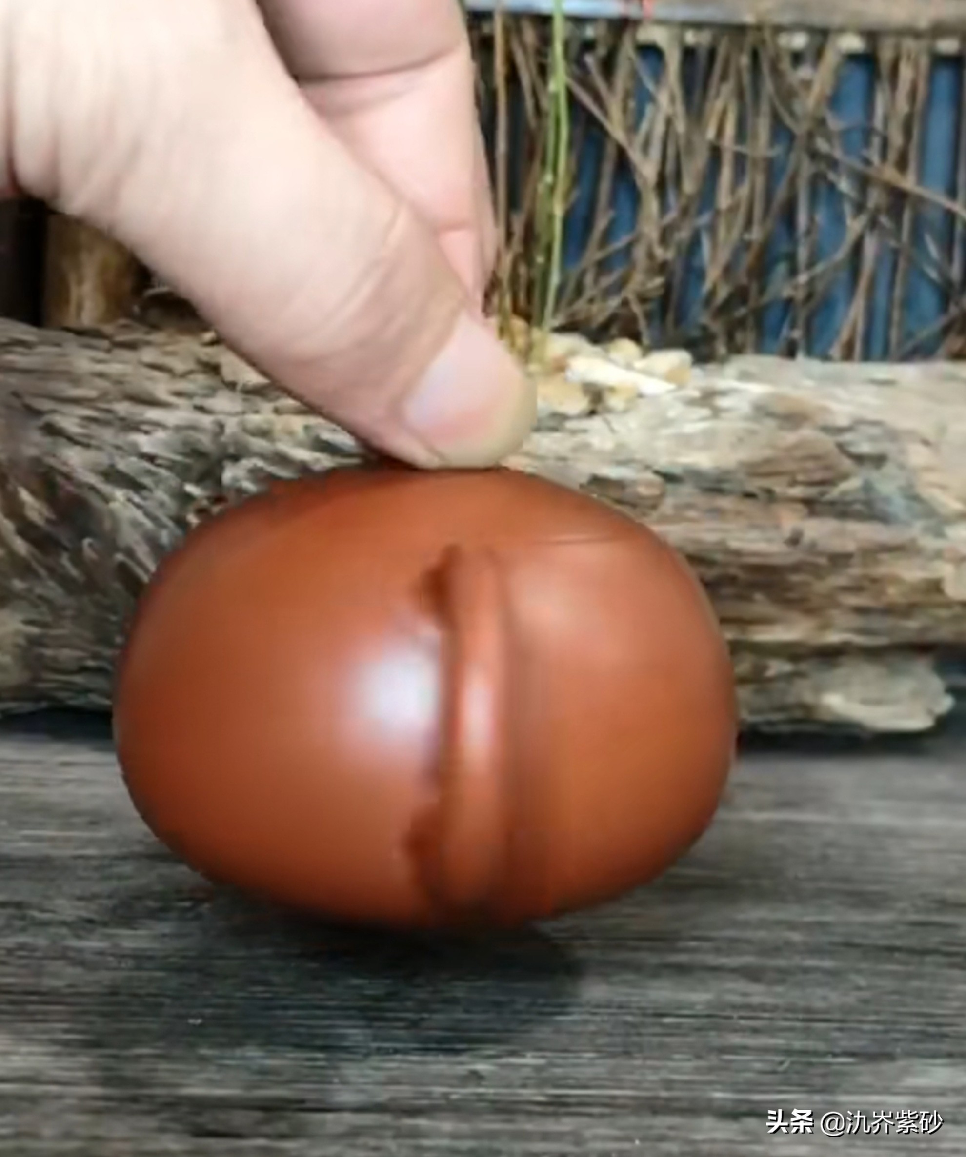 买壶骗局揭秘视频,买壶被坑