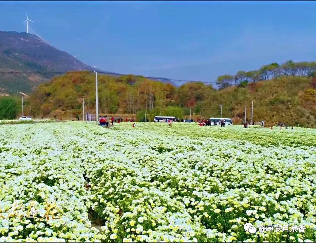周光辉/情长更比水流长