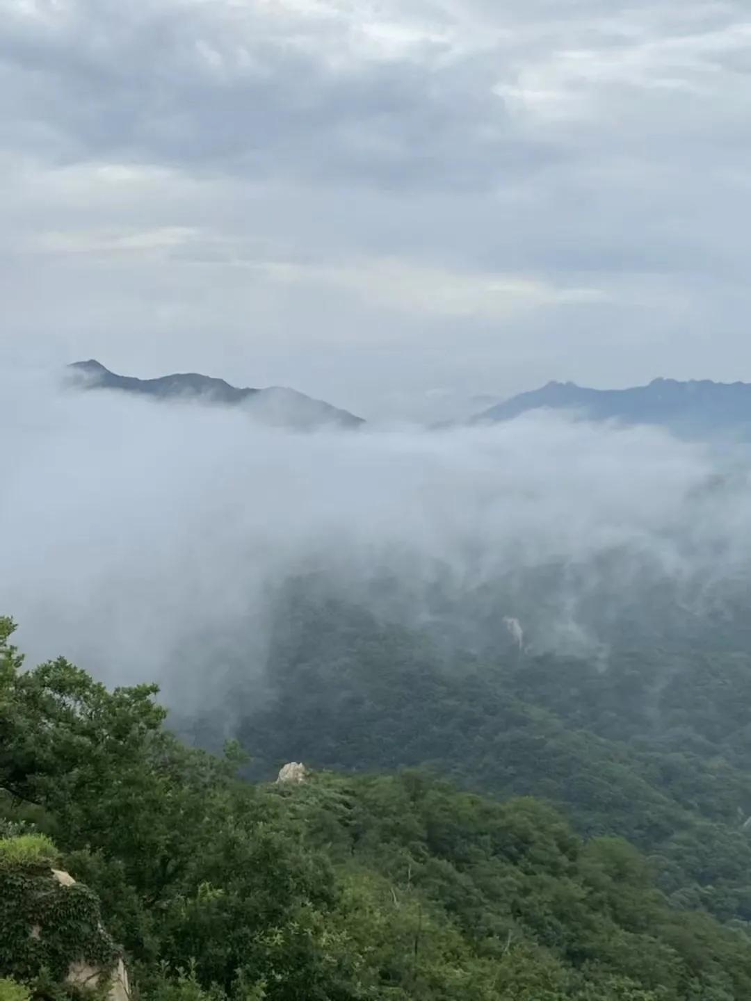 曲阜九仙山烤全羊,五莲九仙山风景区烤羊