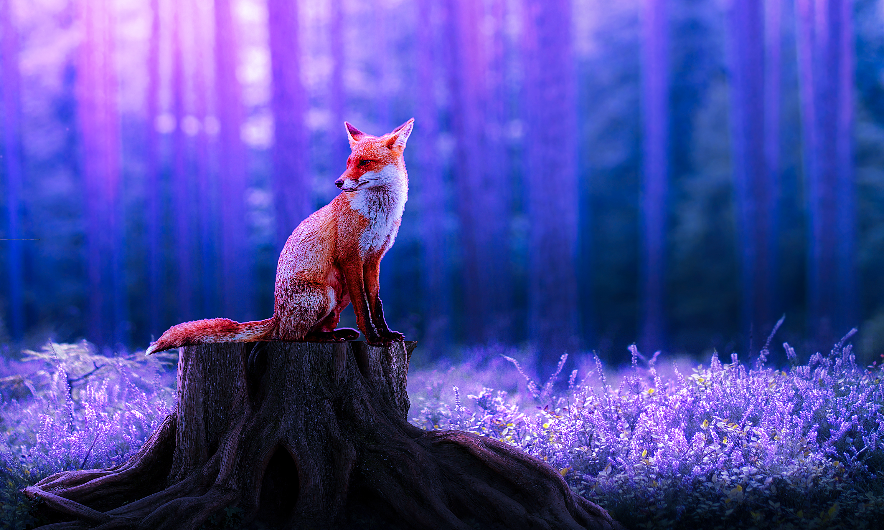 我常用的六种ps抠图方法，你们还有其他的方法欢迎讨论哦