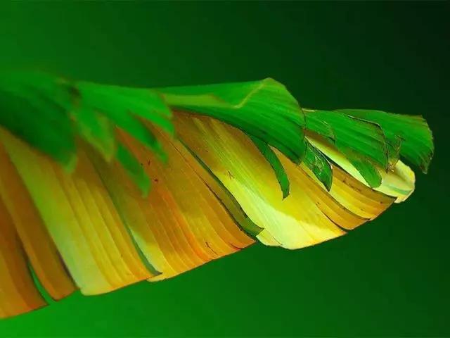 心理学家如何看待缺爱的孩子,孩子偏爱粉色心理学怎么看