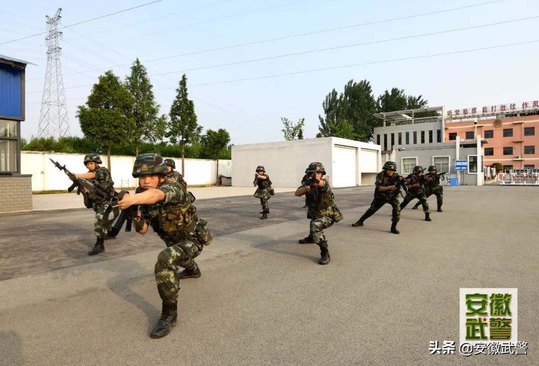 “燃值”飙升！直击夏日练兵场