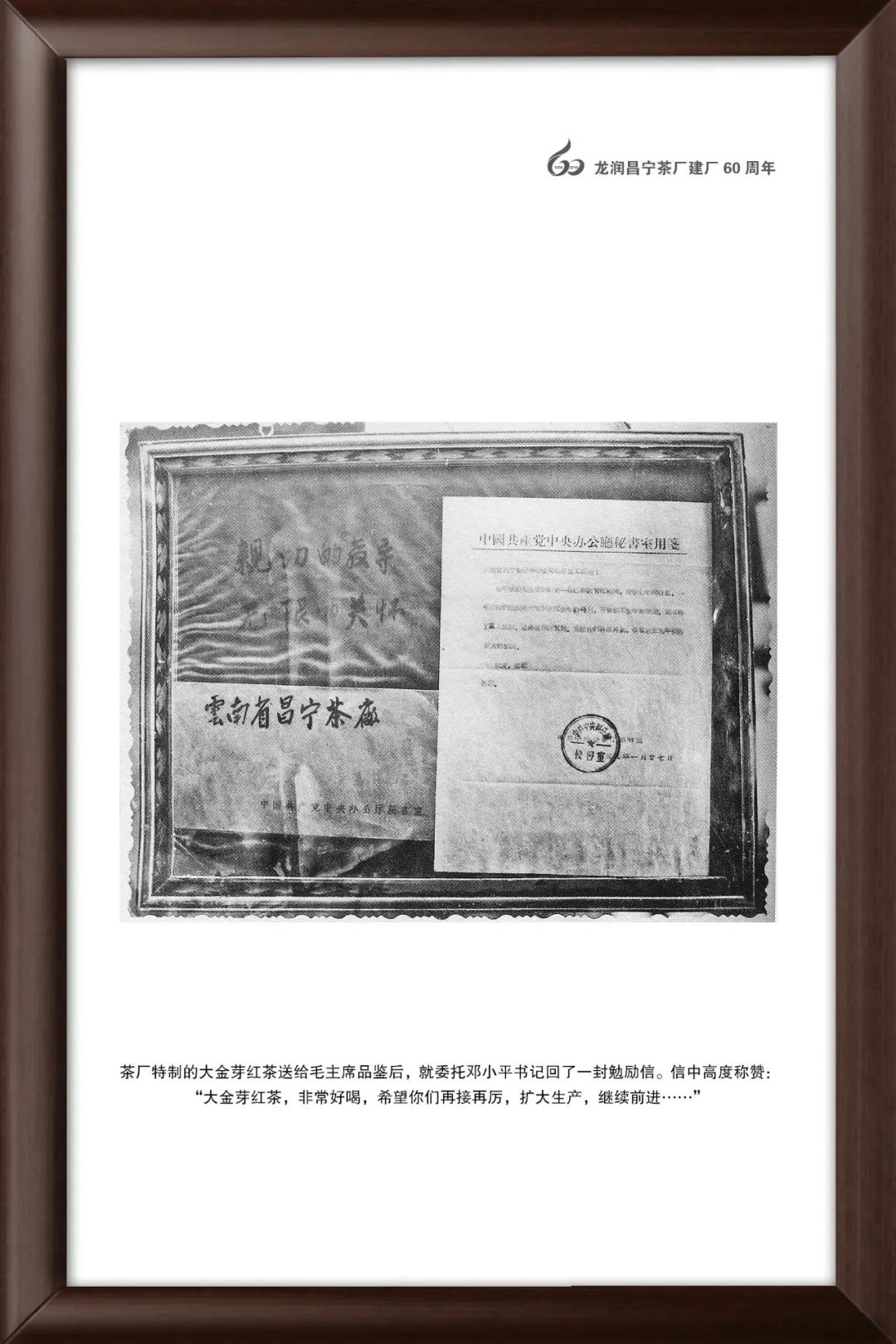 龙润茶大金芽1958,龙润大金芽好茶