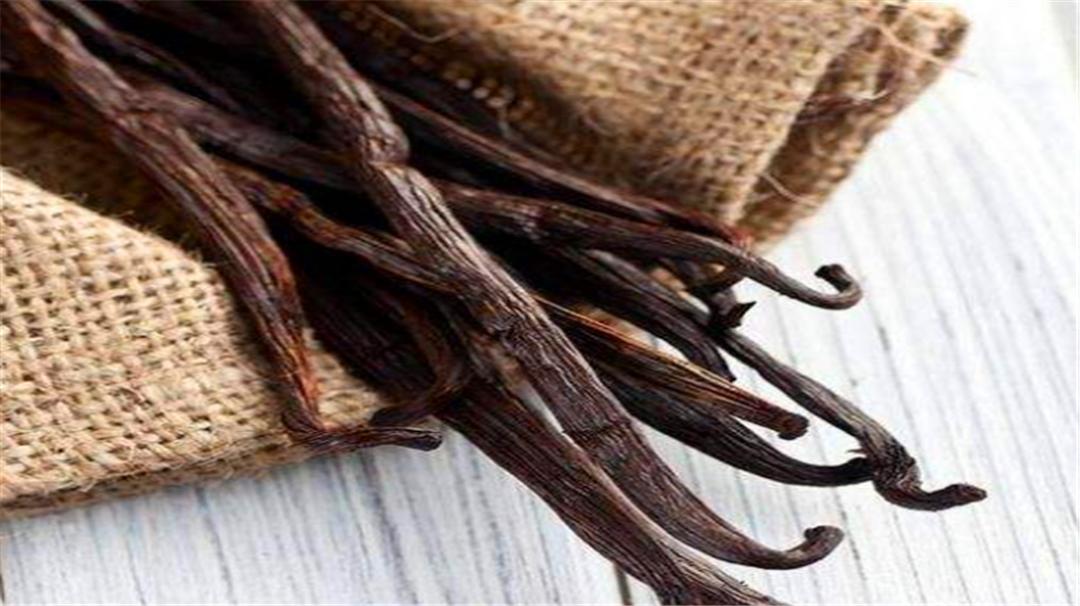 香草的味道本来是臭的？还是世界上最贵的香料，太出乎意外了