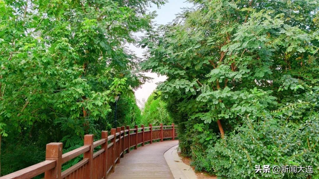 赏秋不必远行！大连这些地方美得正当时